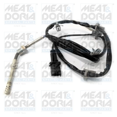 Sensor, exhaust gas temperature